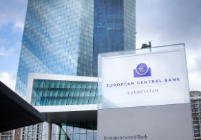The European Central Bank (ECB)